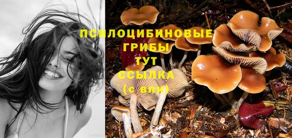 дмт Покров