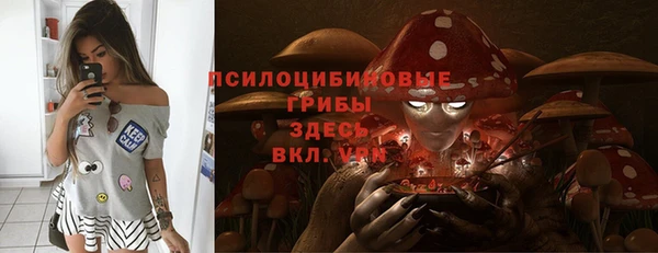 ГАЛЛЮЦИНОГЕННЫЕ ГРИБЫ Покачи