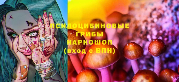 ГАЛЛЮЦИНОГЕННЫЕ ГРИБЫ Покачи